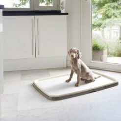 Savic Puppy Trainer + Pads -Hochwertiges Geschäft Für Heimtierbedarf savic puppy trainer pads 163498 0500 none