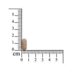 Monoderma Dry Hunde -Hochwertiges Geschäft Für Heimtierbedarf sensipharm monoderma dry hond 174694 0500 none