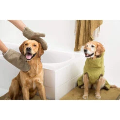 Siccaro DryGlove -Hochwertiges Geschäft Für Heimtierbedarf siccaro dryglove 196901 0500 none