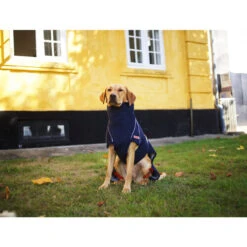 Siccaro WetDog SupremePro 11 Siccaro WetDog SupremePro -Hochwertiges Geschäft Für Heimtierbedarf siccaro wetdog supremepro 20 216994 0500 none