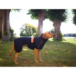 Siccaro WetDog SupremePro 9 Siccaro WetDog SupremePro -Hochwertiges Geschäft Für Heimtierbedarf siccaro wetdog supremepro 20 216995 0500 none