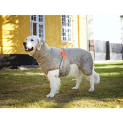 Siccaro WetDog SupremePro 8 Siccaro WetDog SupremePro -Hochwertiges Geschäft Für Heimtierbedarf siccaro wetdog supremepro 20 216997 0500 none