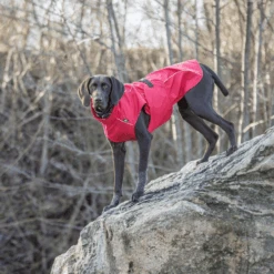 Trixie Regenjacke Vimy -Hochwertiges Geschäft Für Heimtierbedarf trixie regenjas vimy 204854 0500 none